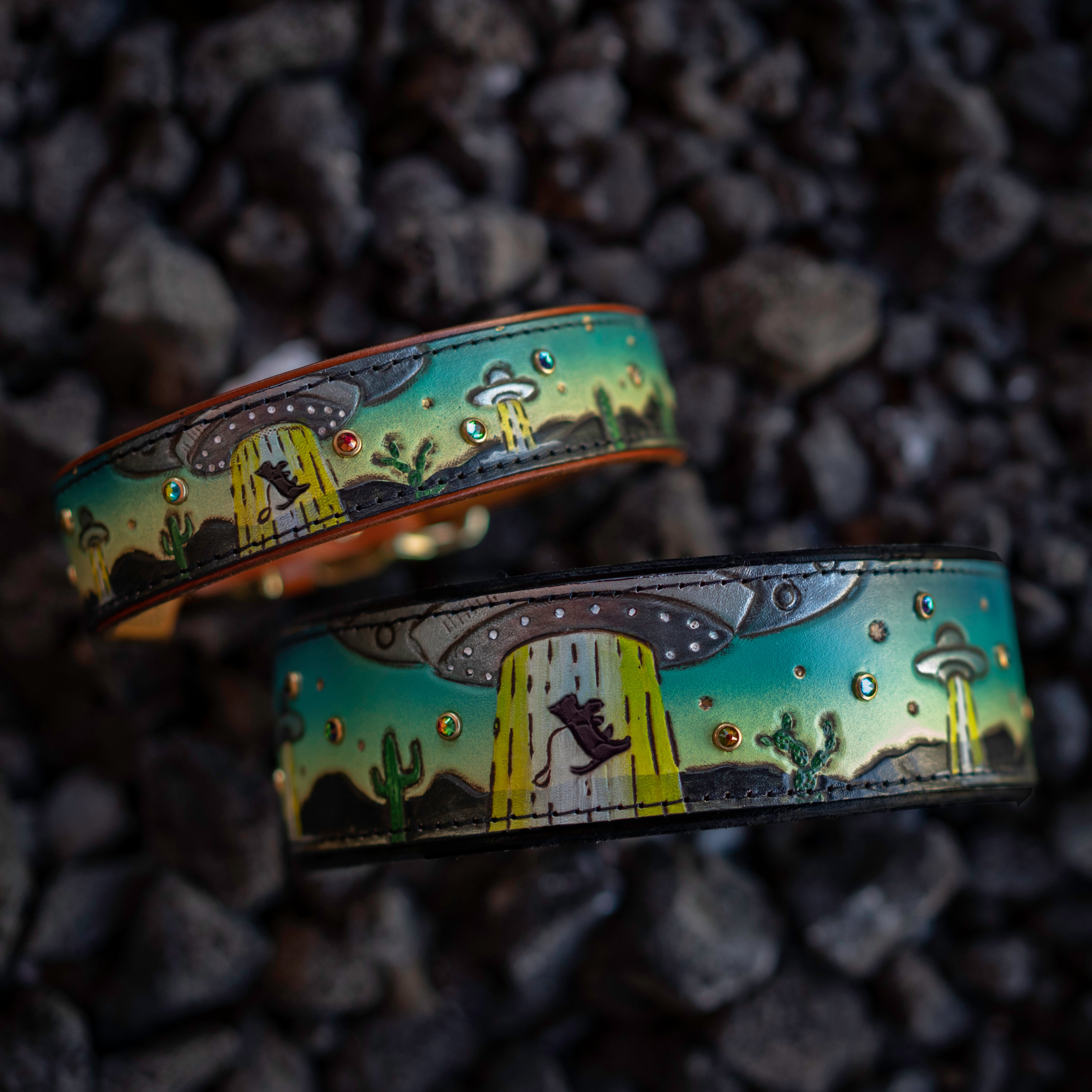 Alien dog collar store