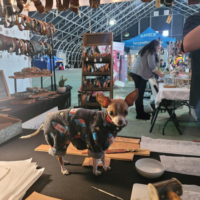 Kokolati Collars at the Palm Springs Kennel Club Dog Show!