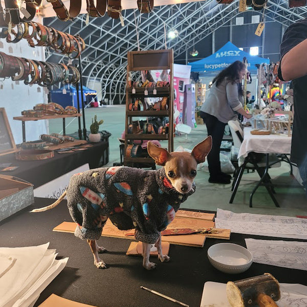 Kokolati Collars at the Palm Springs Kennel Club Dog Show!