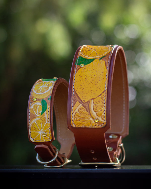 The Lemons Leather Dog Collar