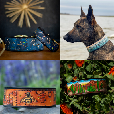 Cute designer customized best dog collar for girls and boys