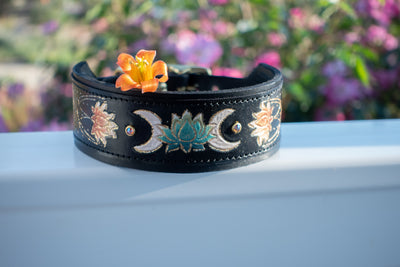 Mystic Lotus Flower