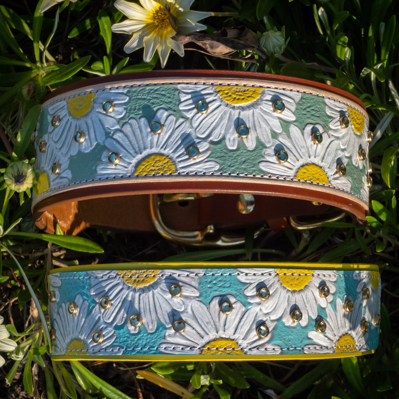 Darling Daisies - Daisy flower tooled leather dog collar design