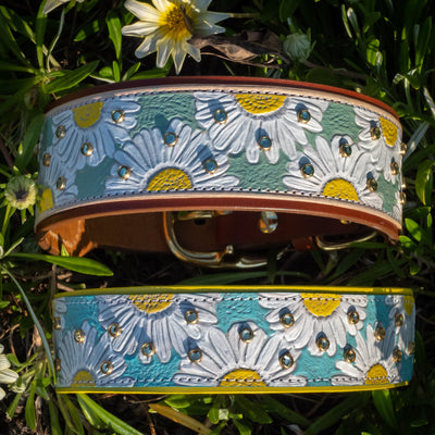 Darling Daisies - Daisy flower tooled leather dog collar design