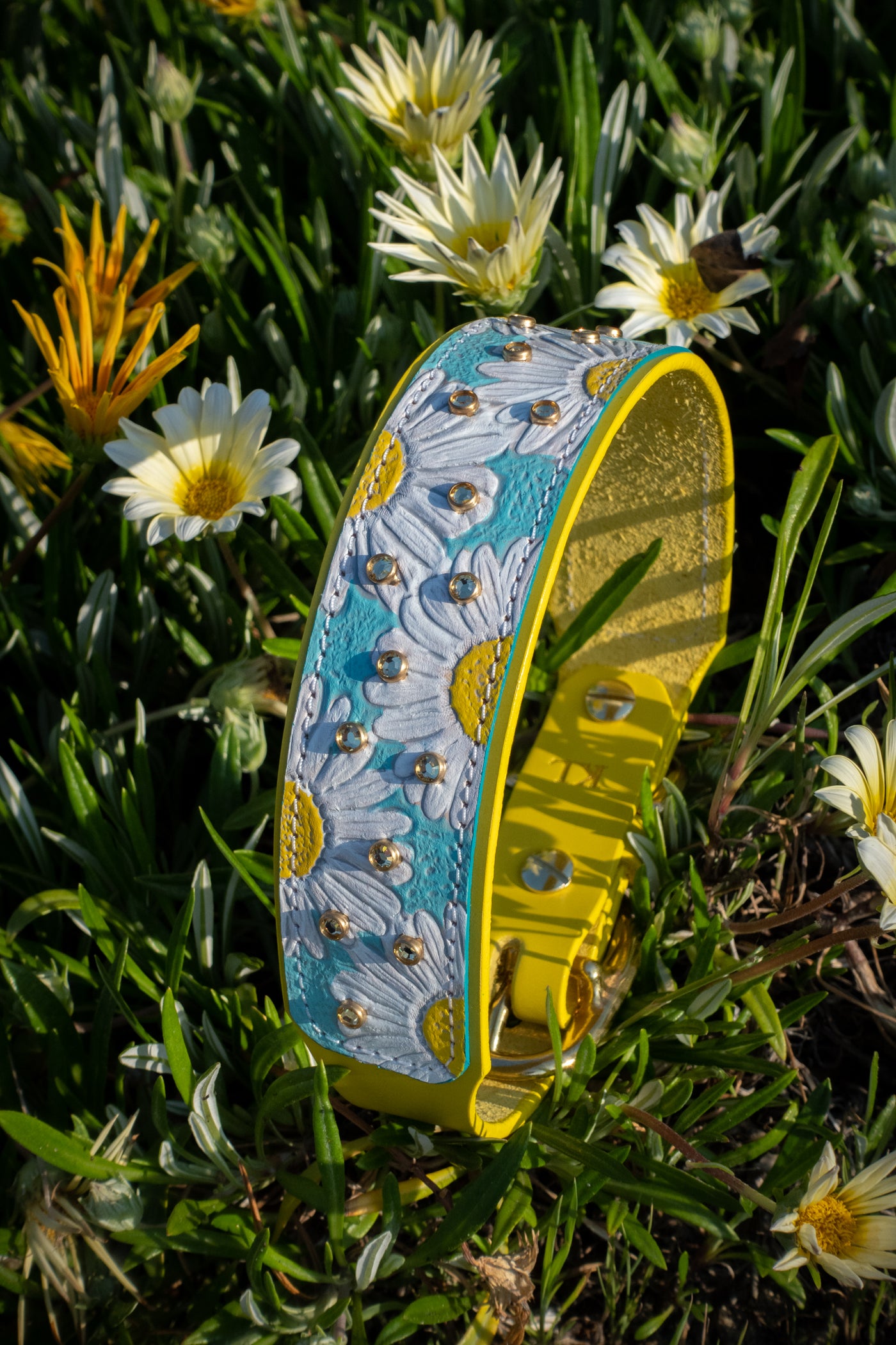 Darling Daisies - Daisy flower tooled leather dog collar design