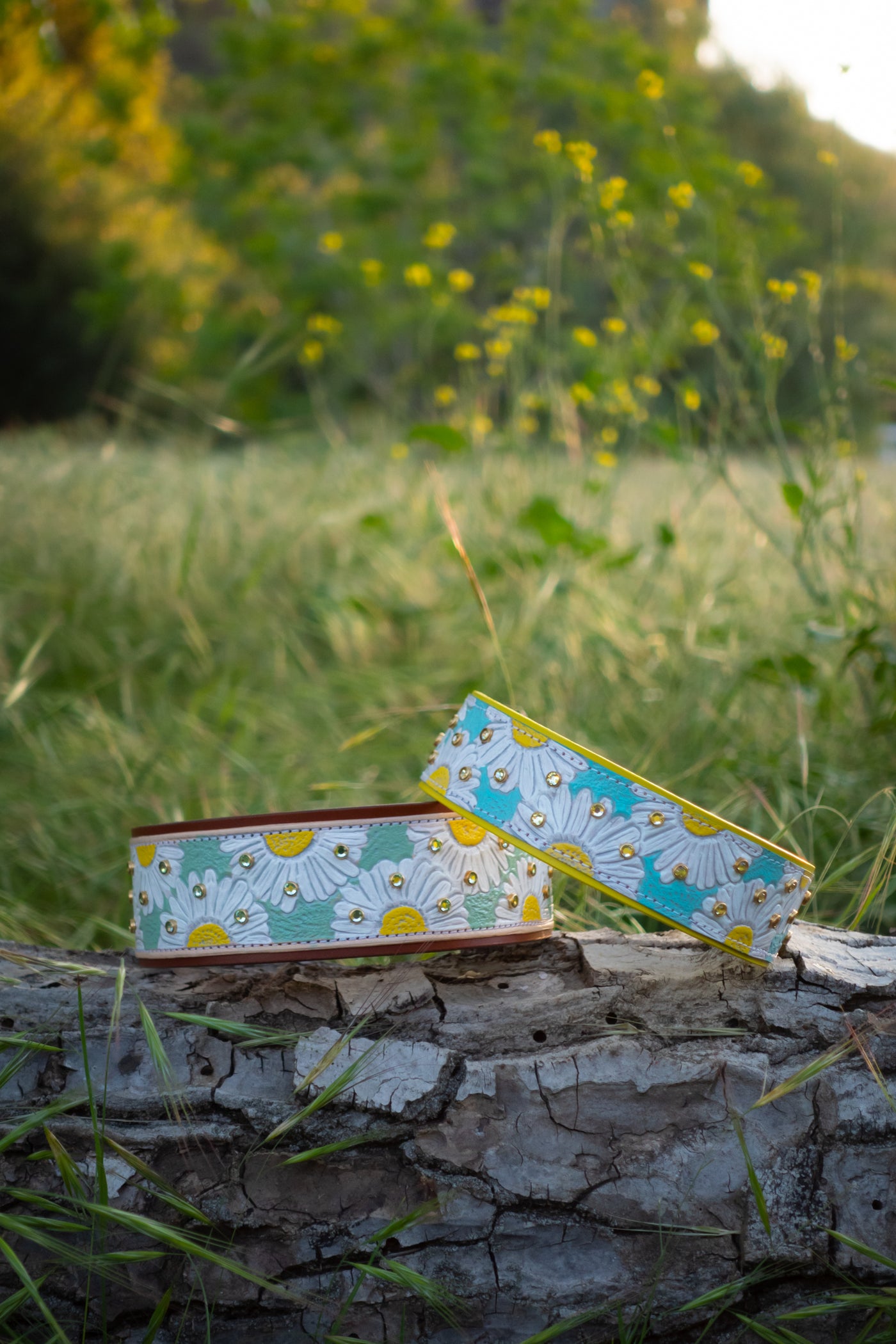 Darling Daisies - Daisy flower tooled leather dog collar design