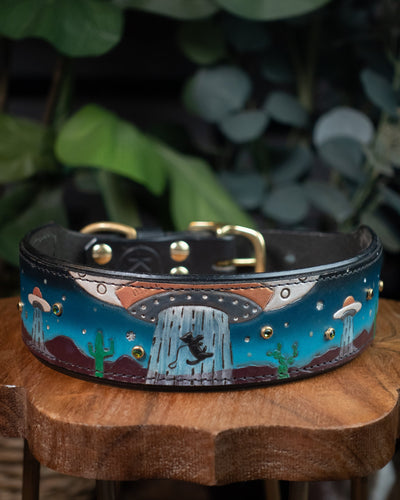 Blue Alien Abduction 19-23" Large LIMITED COLOR