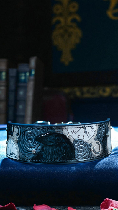 Raven - Large 17-20" on navy