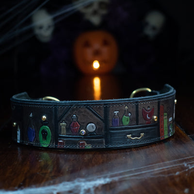 Witches Shelf - Martingale 21-23" Large