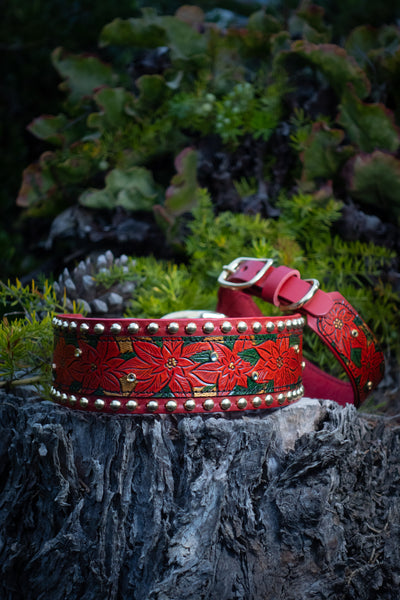 Joyful Holiday Poinsettias