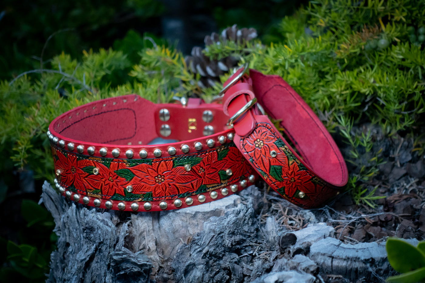 Joyful Holiday Poinsettias