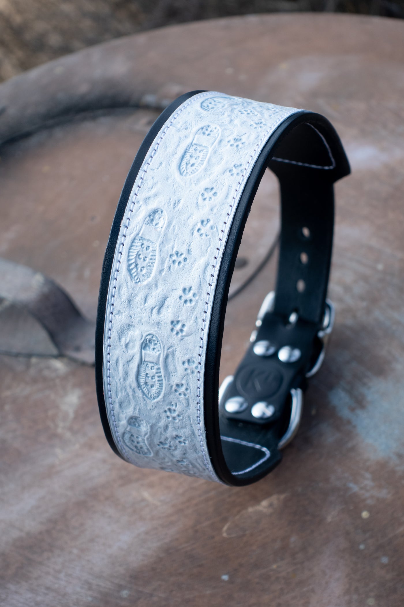 Snowy Steps Together