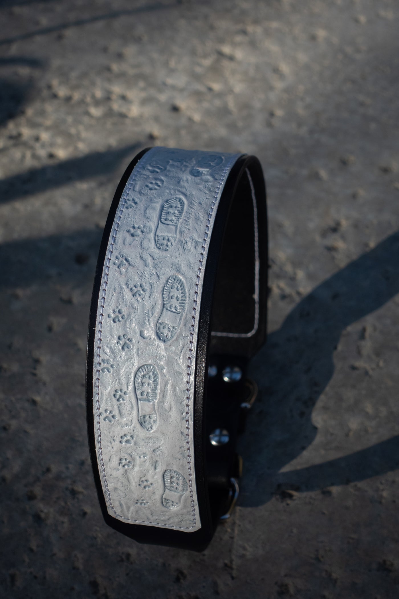 Snowy Steps Together