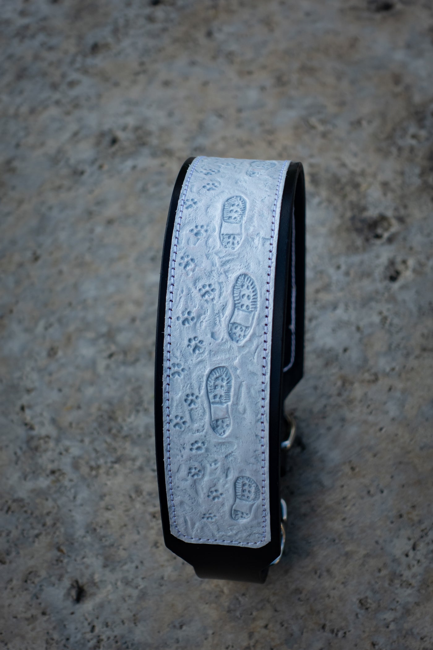 Snowy Steps Together