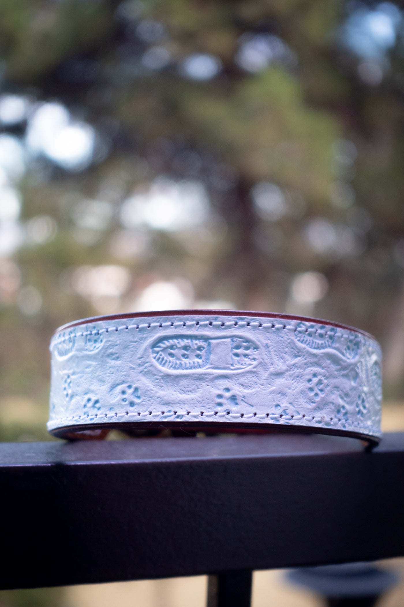 Snowy Steps Together