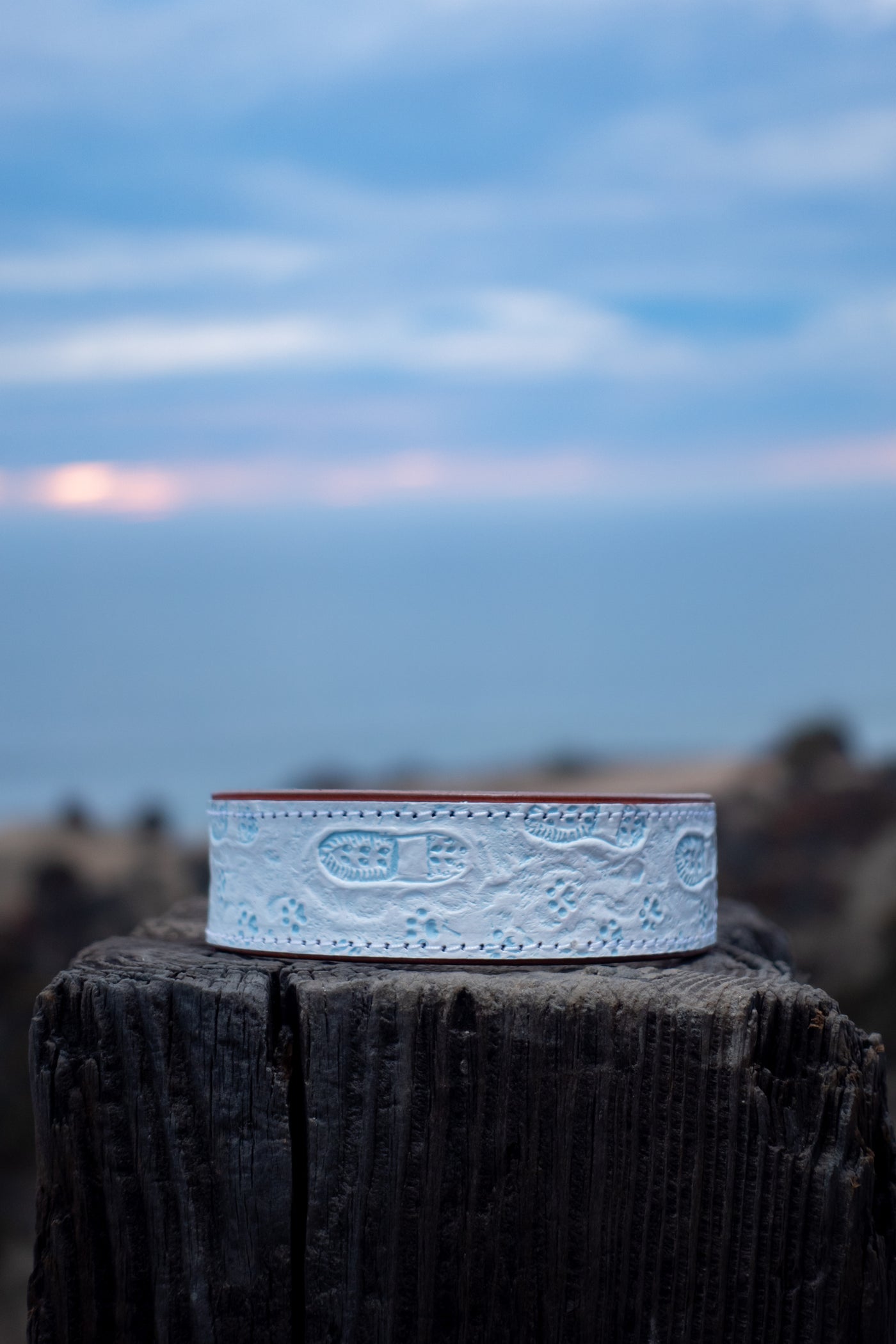 Snowy Steps Together