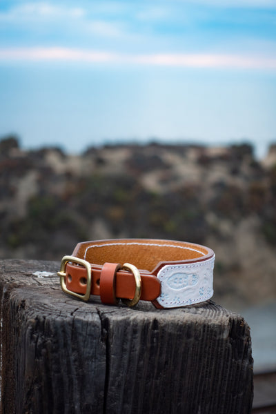 Snowy Steps Together