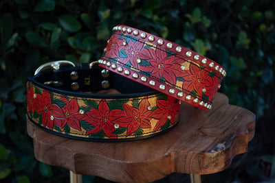 Joyful Holiday Poinsettias