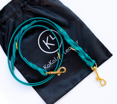 Teal Versatile Leash