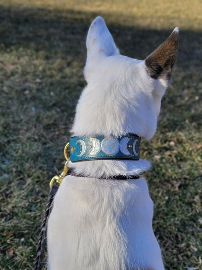 Moon Phase Dog Collar - KoKoLati