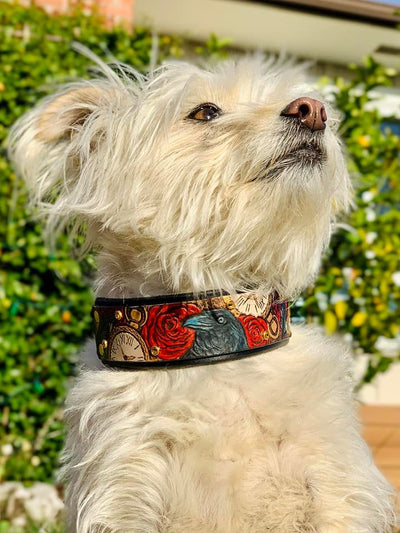 The Raven Dog Collar - KoKoLati