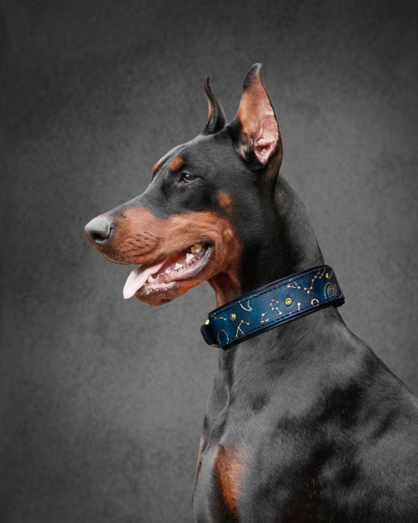 Constellation Dog Collar - KoKoLati