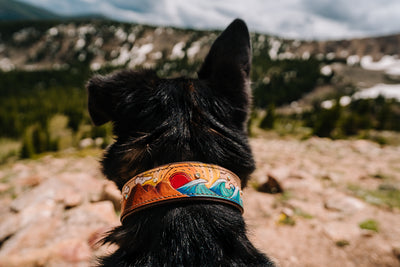 Mountains and Waves Dog Collar - KoKoLati