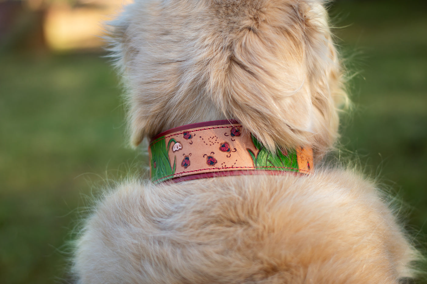 Ladybugs Leather Dog Collar - KoKoLati