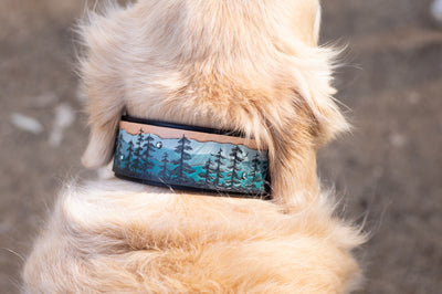 Misty Pines Dog Collar - KoKoLati