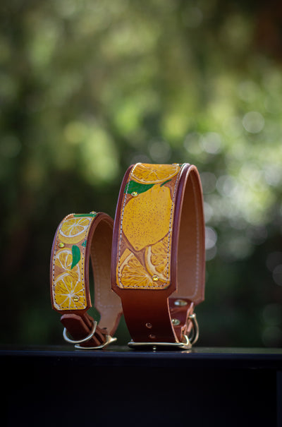 Lemon Dog Collar - KoKoLati