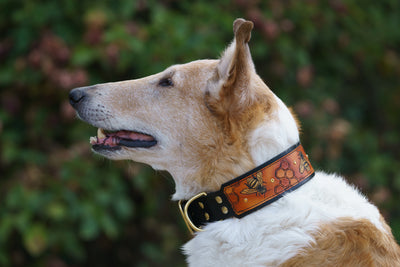The Honey Bee Leather Dog Collar - KoKoLati