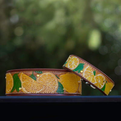 Lemon Dog Collar - KoKoLati