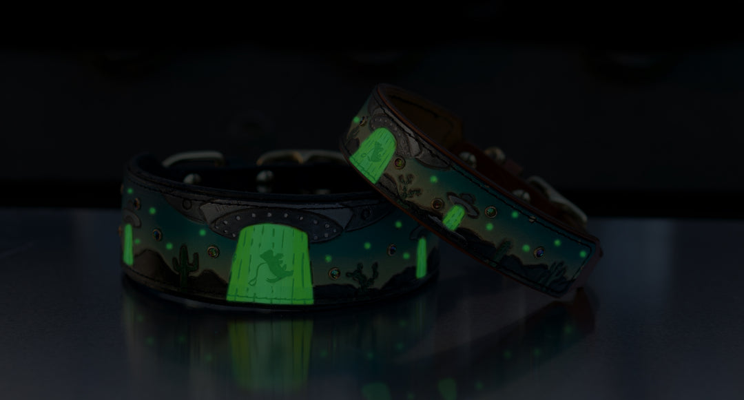 Alien UFO Abduction Dog Collar KoKoLati