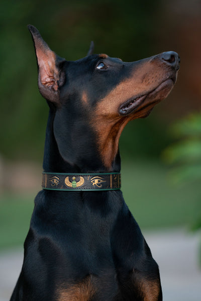 Ancient Egyptian Eye of Ra and Horus Dog Collar